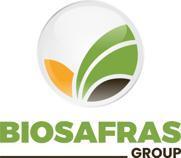group_logo_letras-verde_2026
