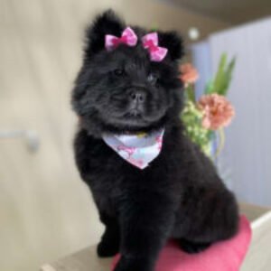 Profile photo of Guille Robertti